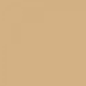 RAL 1001 beige