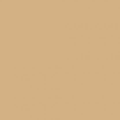 RAL 1001 beige