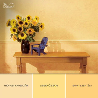 Dulux Nagyvilág Színei - Beltéri Falfesték Teszter - Shiva szentély 30 ml - Image 4